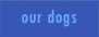 our dogs